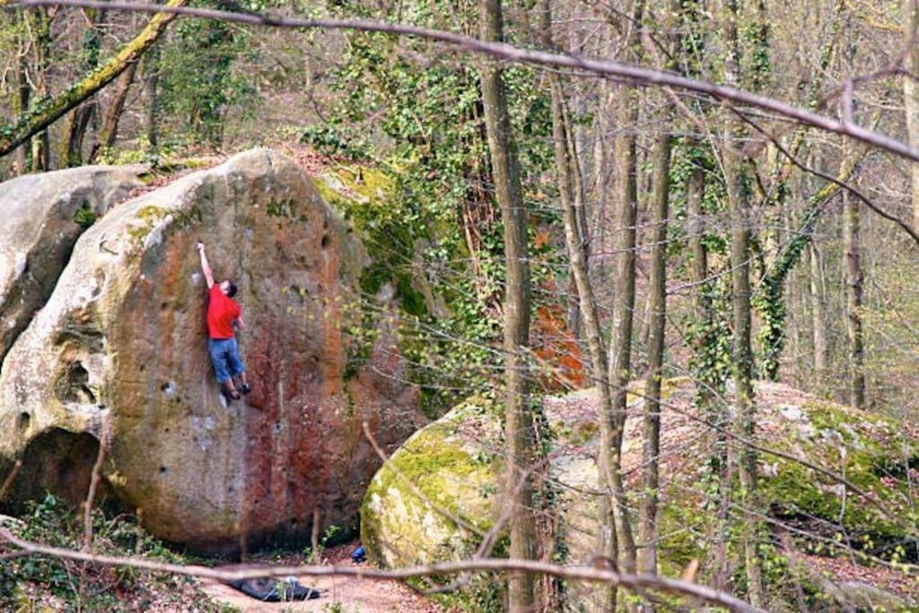 Le Belly - Fontainebleau Daire Dış mekan fotoğraf